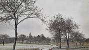 Landschaft in der Umgebung des Klosters Heidenheim mit den ersten Schneeflocken dieses Winters.